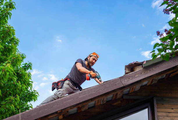 Best Roof Insulation Installation  in Wagner, SD
